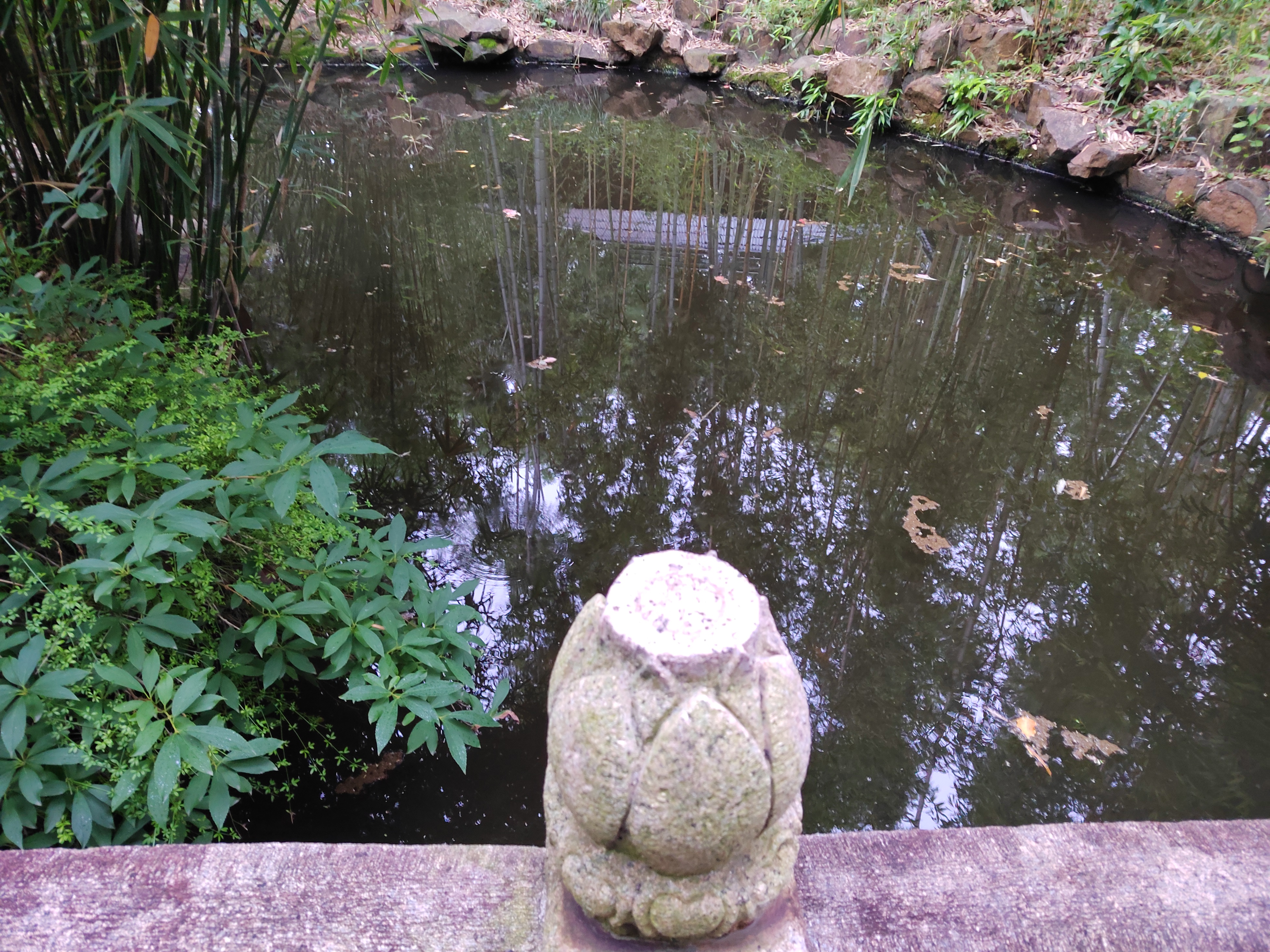 此景如何.jpg